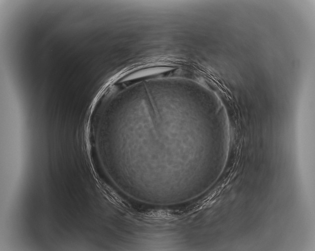 X0000116060244200911271248