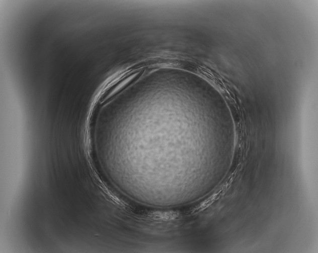 X0000116060245200911271248