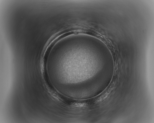 X0000116060247200911271248