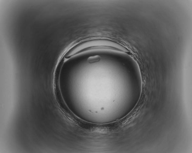 X0000116060248200911271248
