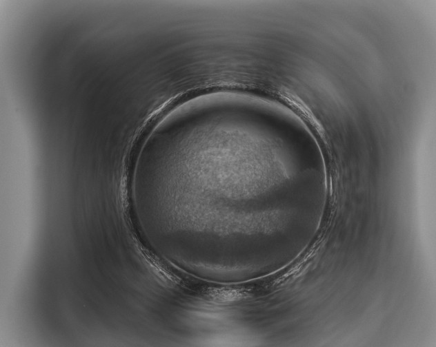 X0000116060249200911271248