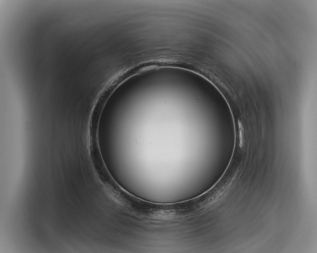 X0000116060252200911271248