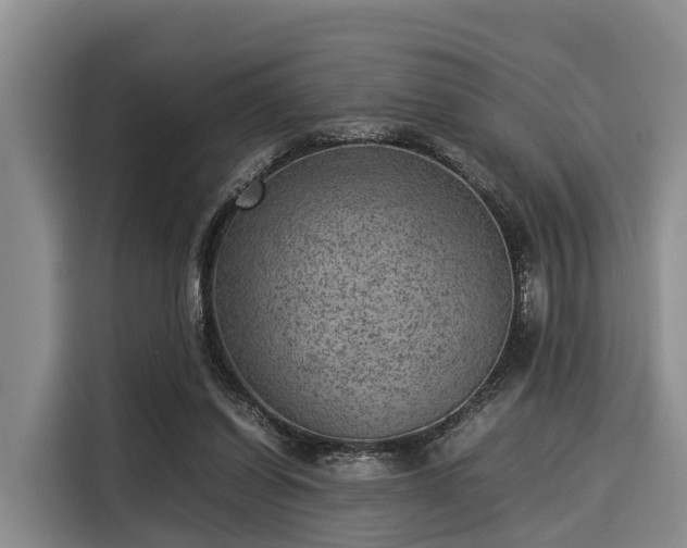 X0000116060254200911271248