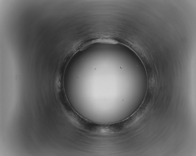 X0000116060264200911271248