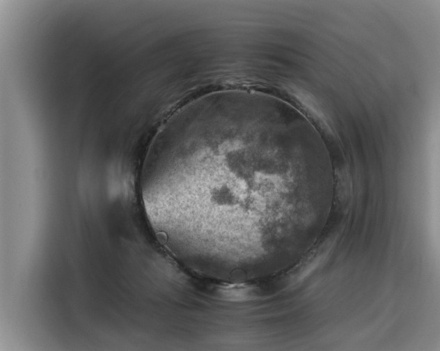X0000116060269200911271248