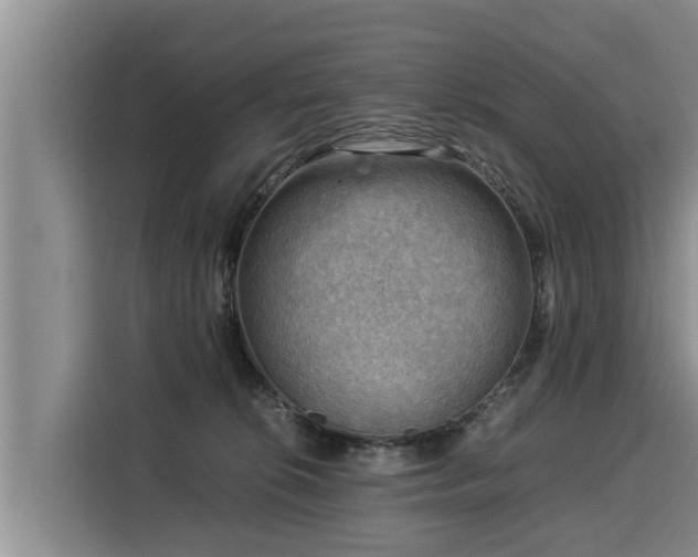 X0000116060276200911271249