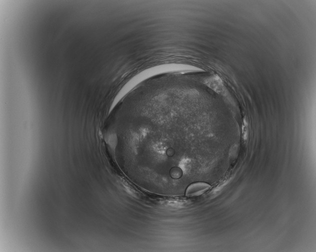 X0000116060282200911271249