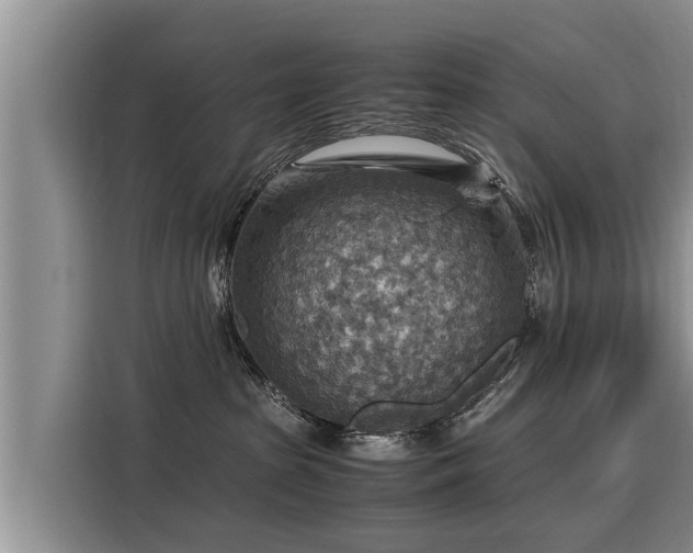 X0000116060285200911271249