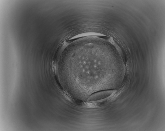 X0000116060286200911271249