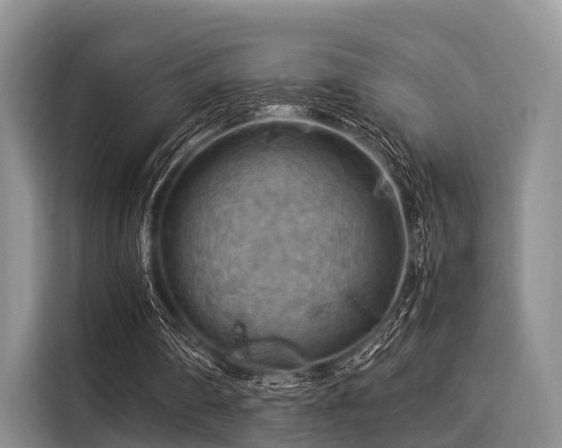 X0000116060290200911271248