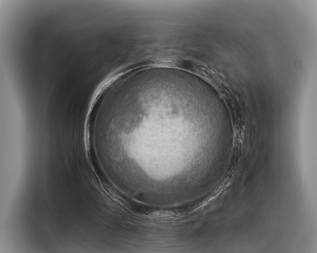 X0000116060294200911271248