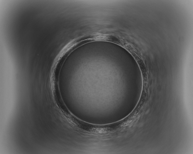 X0000116060295200911271248