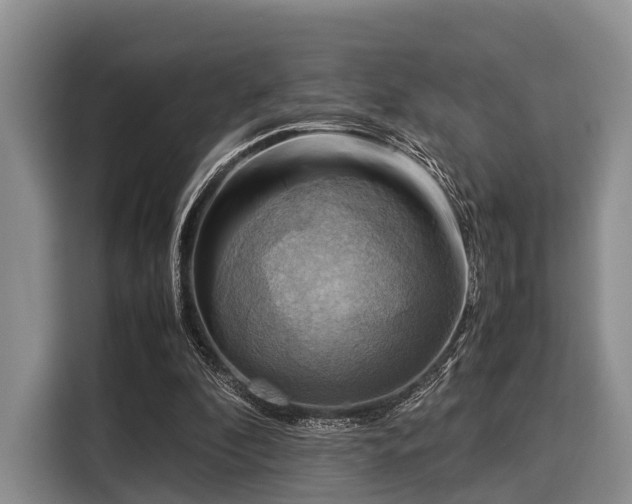X0000116060296200911271248