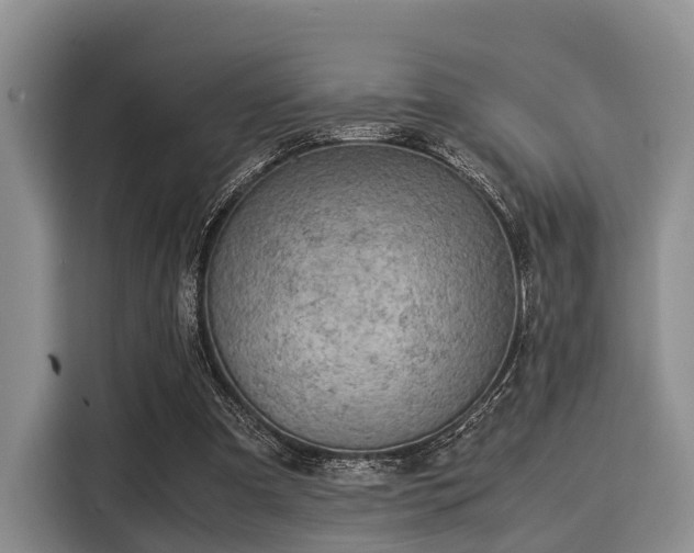 X0000116060297200911271248