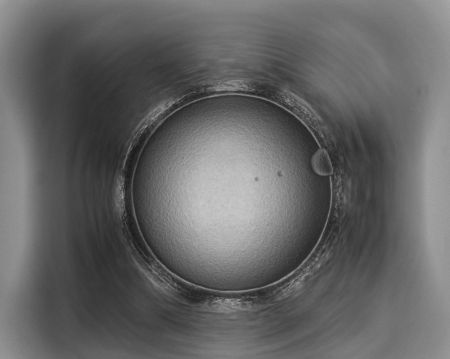 X0000116060298200911271248