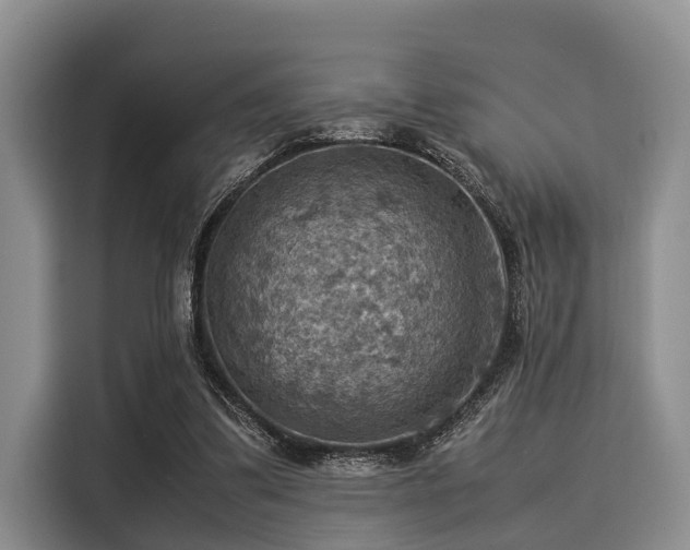 X0000116060299200911271248