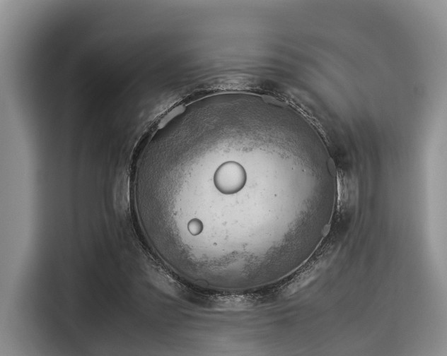 X0000116060301200911271248