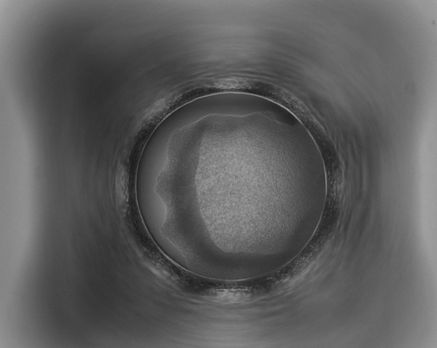 X0000116060303200911271248