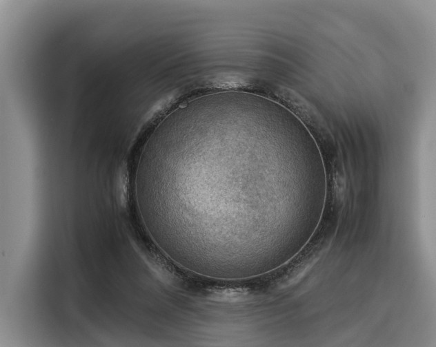 X0000116060304200911271248