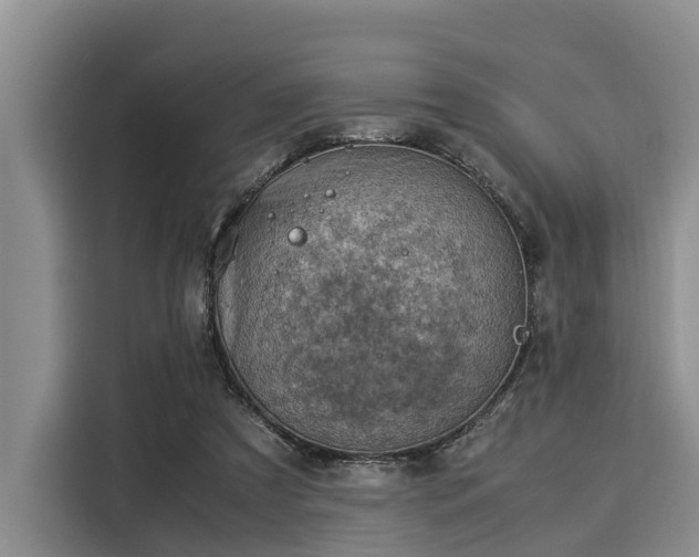 X0000116060305200911271248