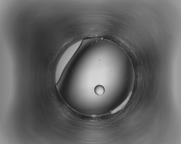 X0000116060308200911271248