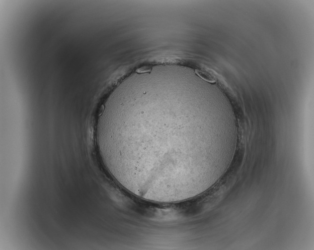 X0000116060309200911271248