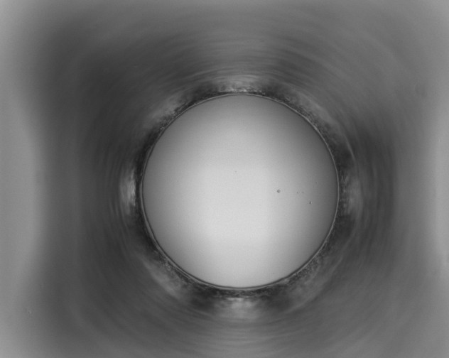 X0000116060310200911271248