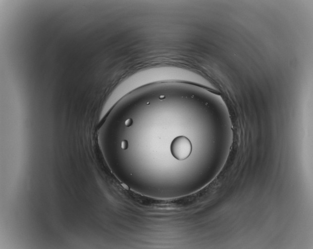 X0000116060316200911271248