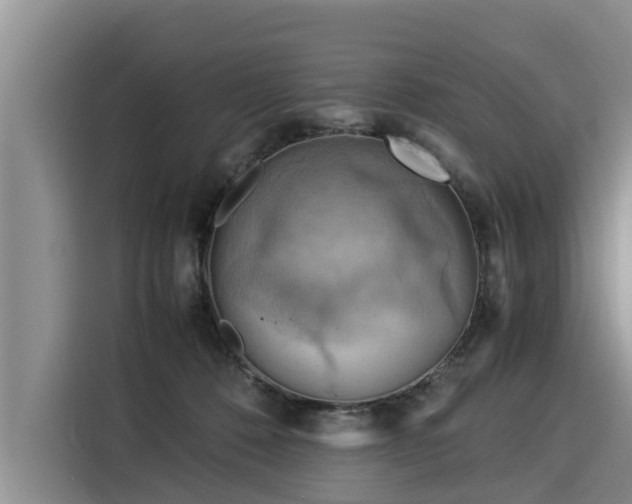 X0000116060320200911271248