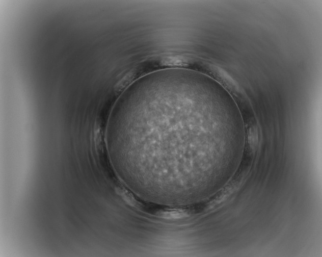X0000116060322200911271248