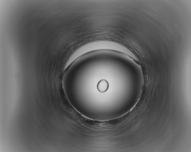 X0000116060324200911271248