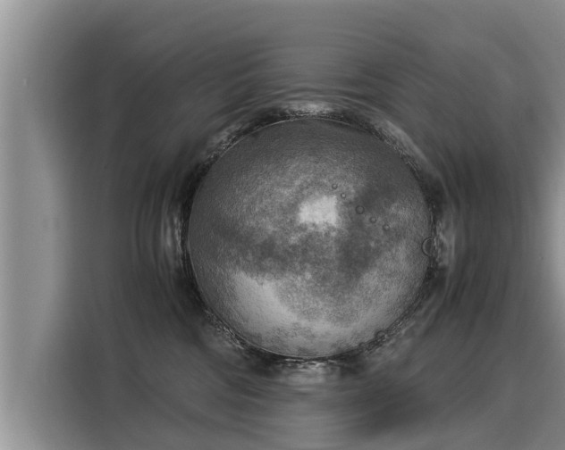 X0000116060330200911271248