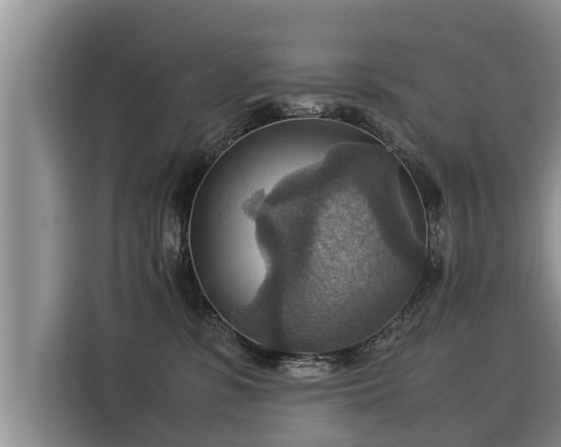 X0000116060331200911271248