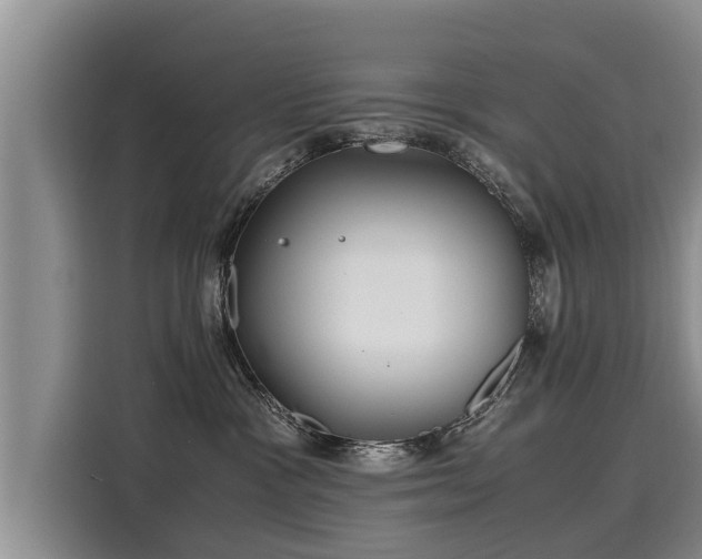 X0000116060333200911271248
