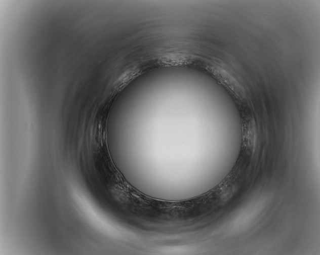 X0000116060334200911271247