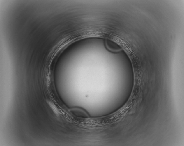 X0000116060338200911271247
