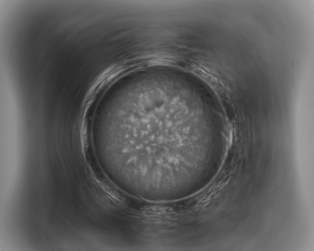X0000116060339200911271247