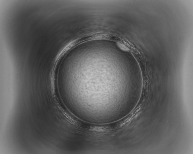 X0000116060341200911271247