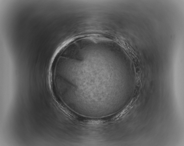 X0000116060342200911271247