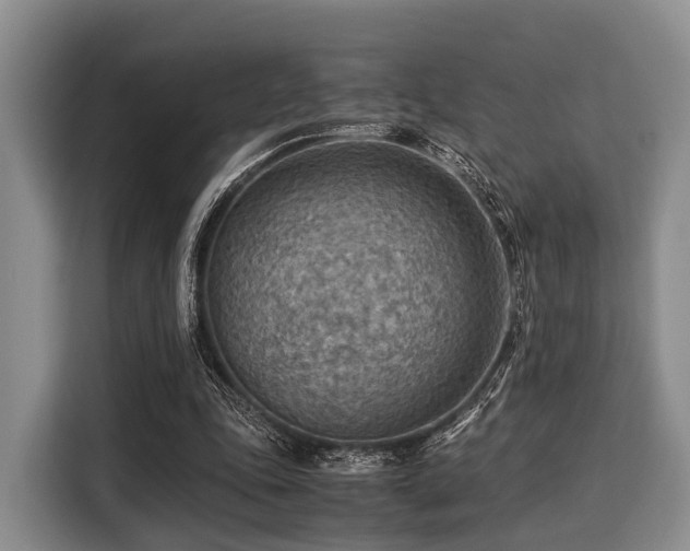 X0000116060343200911271247
