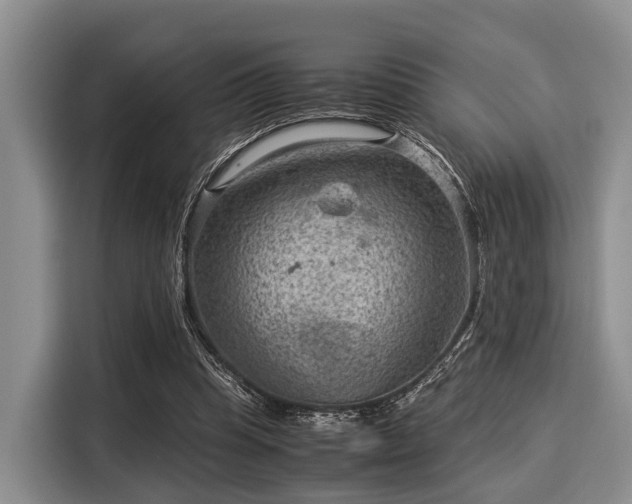 X0000116060345200911271247