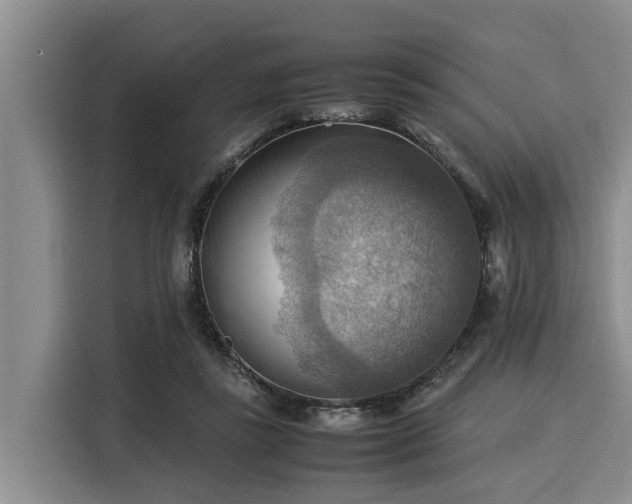 X0000116060355200911271247