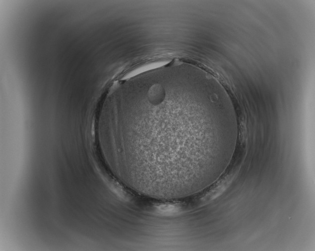 X0000116060358200911271247