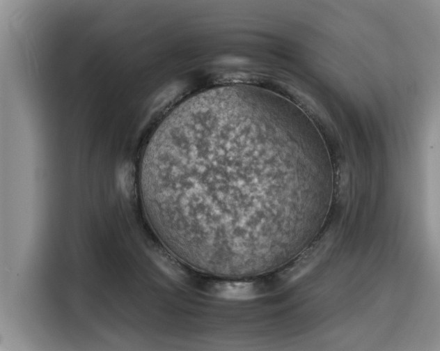 X0000116060361200911271247