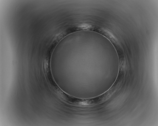 X0000116060365200911271247