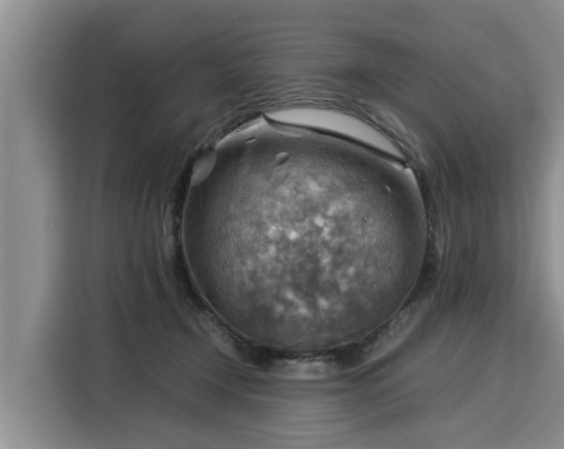 X0000116060366200911271247