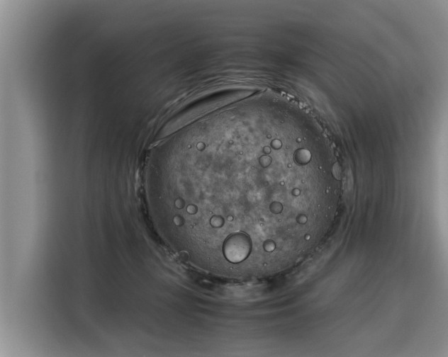 X0000116060367200911271247
