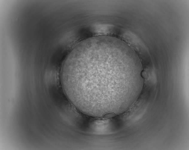 X0000116060369200911271247