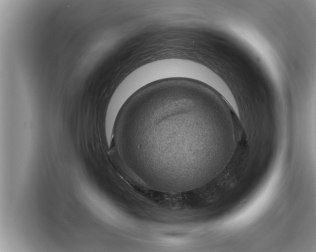 X0000116060382200911271247
