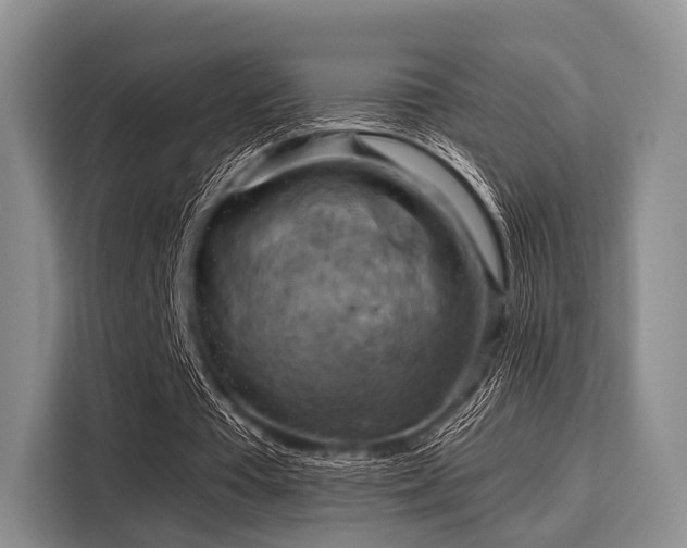 X0000116060385200911271247